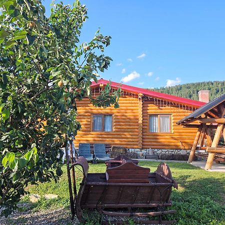 Cabana Alesia, Relaxare La Poalele Raraului Câmpulung Moldovenesc Eksteriør bilde