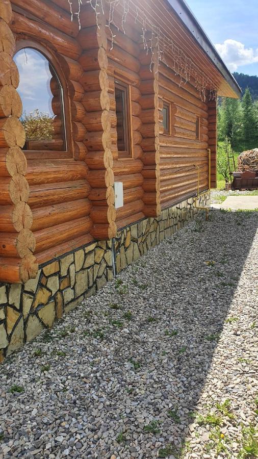 Cabana Alesia, Relaxare La Poalele Raraului Câmpulung Moldovenesc Eksteriør bilde
