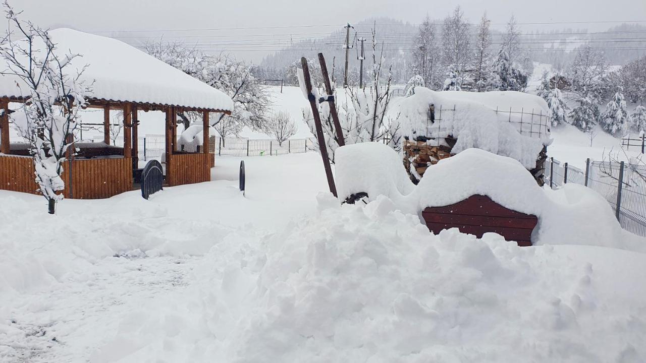 Cabana Alesia, Relaxare La Poalele Raraului Câmpulung Moldovenesc Eksteriør bilde